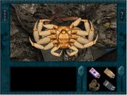 Nancy Drew: Danger on Deception Island