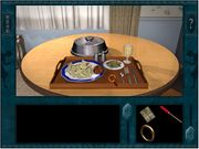 Nancy Drew: The Haunted Carousel