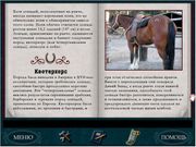 Nancy Drew: The Secret of the Shadow Ranch