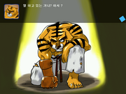 Narara Superboard: Eonia Break