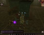 Neverwinter Nights