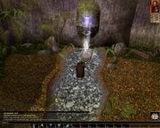 Neverwinter Nights