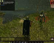 Neverwinter Nights