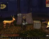 [Neverwinter Nights - скриншот №4]