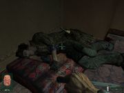 Невский титбит