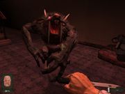 Невский титбит