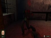 Невский титбит