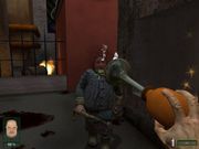 Невский титбит