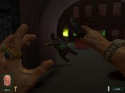 Невский титбит