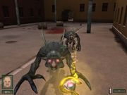 Невский титбит