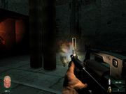 Невский титбит