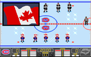 NHL Hockey