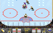 NHL Hockey 94