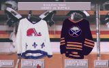 [Скриншот: NHL Hockey 94]