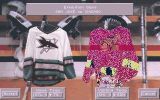 [NHL Hockey 94 - скриншот №17]