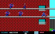 Ninja Gaiden