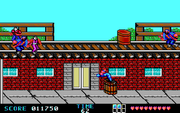 Ninja Gaiden