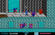 Ninja Gaiden