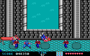 Ninja Gaiden