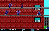 [Ninja Gaiden - скриншот №8]