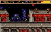 Ninja Gaiden II: The Dark Sword of Chaos