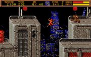 Ninja Gaiden II: The Dark Sword of Chaos