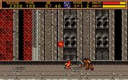 Ninja Gaiden II: The Dark Sword of Chaos