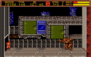 Ninja Gaiden II: The Dark Sword of Chaos