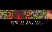 Ninja Gaiden II: The Dark Sword of Chaos