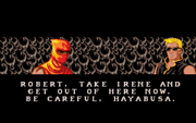 Ninja Gaiden II: The Dark Sword of Chaos