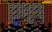 Ninja Gaiden II: The Dark Sword of Chaos