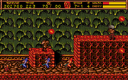 Ninja Gaiden II: The Dark Sword of Chaos