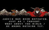 [Ninja Gaiden II: The Dark Sword of Chaos - скриншот №13]