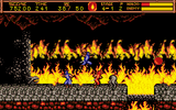 [Ninja Gaiden II: The Dark Sword of Chaos - скриншот №29]