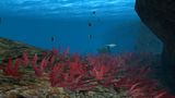 [OceanDive: Ocean Diving Adventure - скриншот №6]