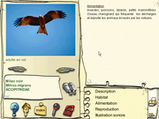 Les Oiseaux des Forêts et des Montagnes