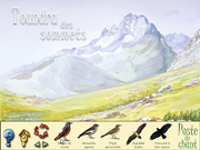 Les Oiseaux des Forêts et des Montagnes