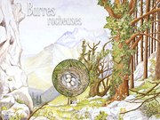 Les Oiseaux des Forêts et des Montagnes