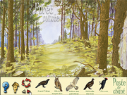 Les Oiseaux des Forêts et des Montagnes