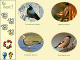 [Les Oiseaux des Forêts et des Montagnes - скриншот №23]