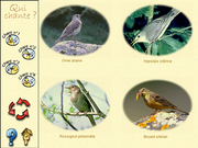 Les Oiseaux des Parcs et des Jardins