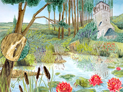 Les Oiseaux des Parcs et des Jardins