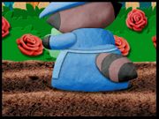 Ollo in the Sunny Valley Fair