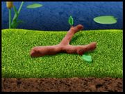 Ollo in the Sunny Valley Fair