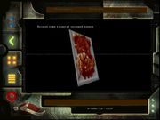 Omikron: The Nomad Soul