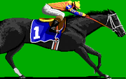 Omni-Play Horse Racing