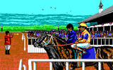[Скриншот: Omni-Play Horse Racing]