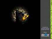 Операция "Жук"