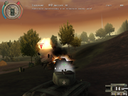 Operation Tiger Hunt