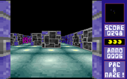 PacaMaze